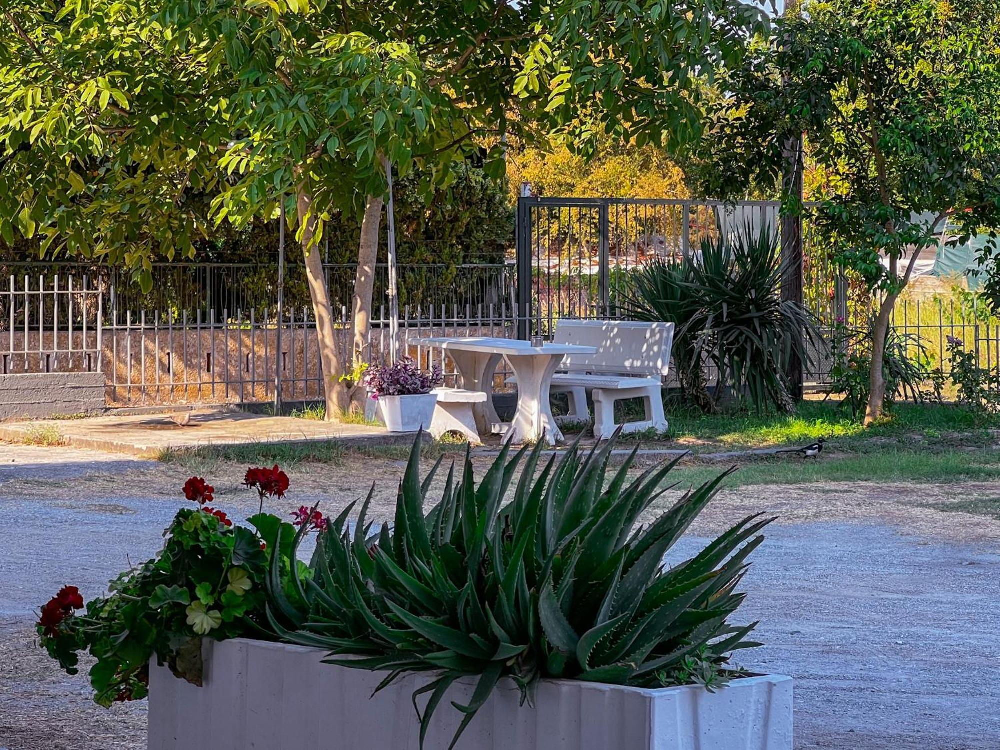 Prado Apartment Hotel Limin Litochorou ภายนอก รูปภาพ